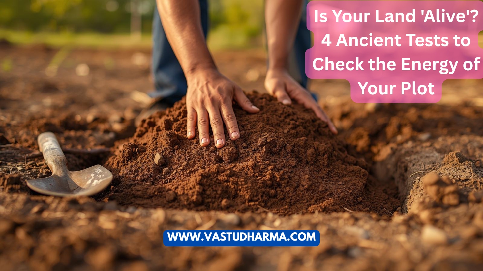 Is Your Land 'Alive'? 4 Ancient Tests to Check the Energy of Your Plot
